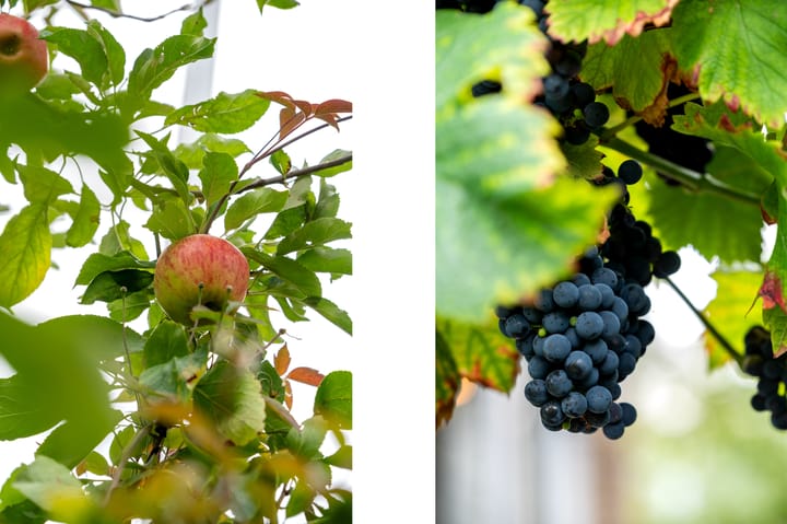 Photo 42 of 's-Gravenweg 625-C