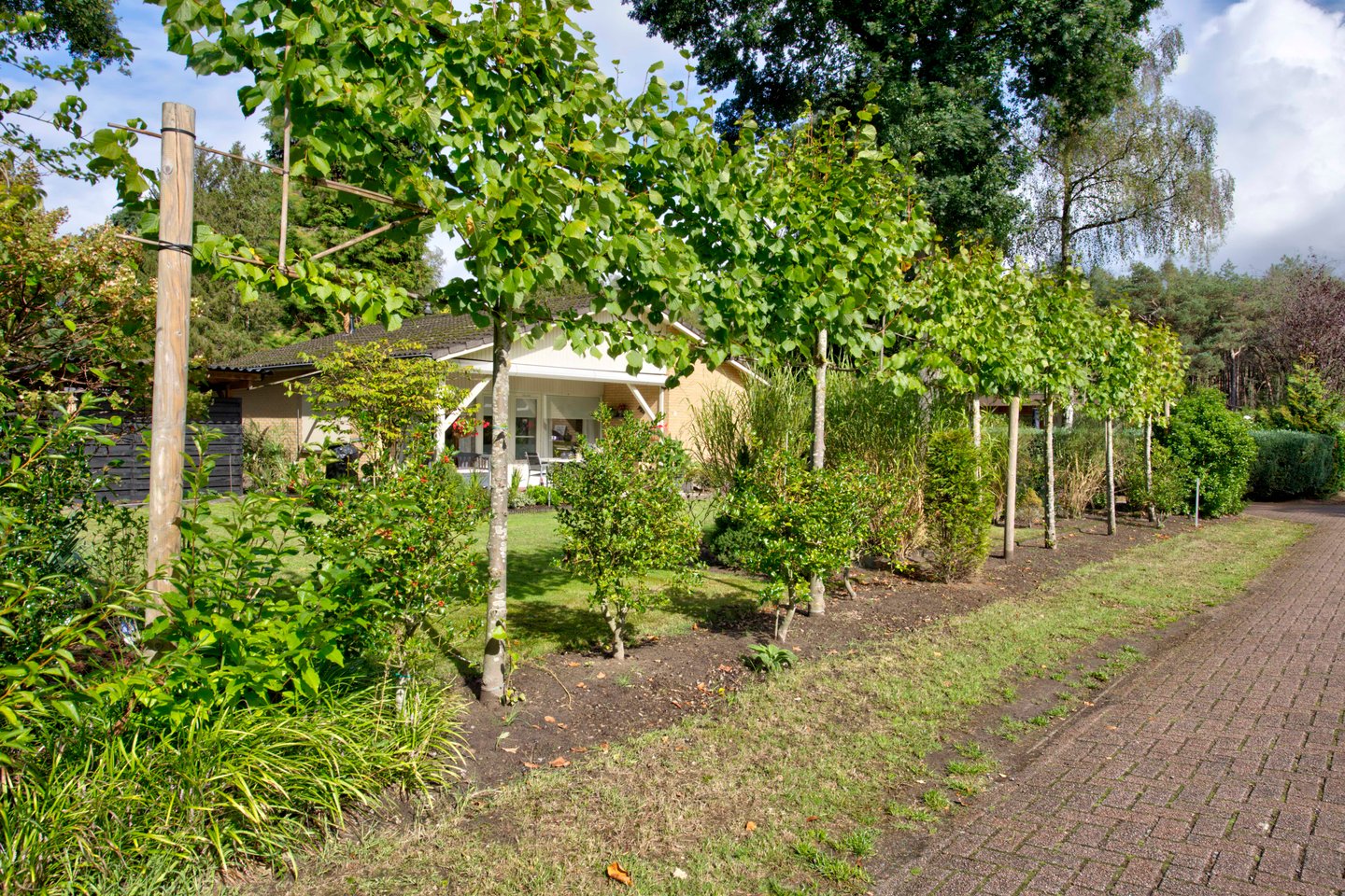 Bekijk foto 2 van Schaluinen 11 B-339