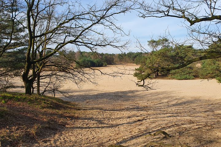 Bekijk foto 36 van Bosrand l 17