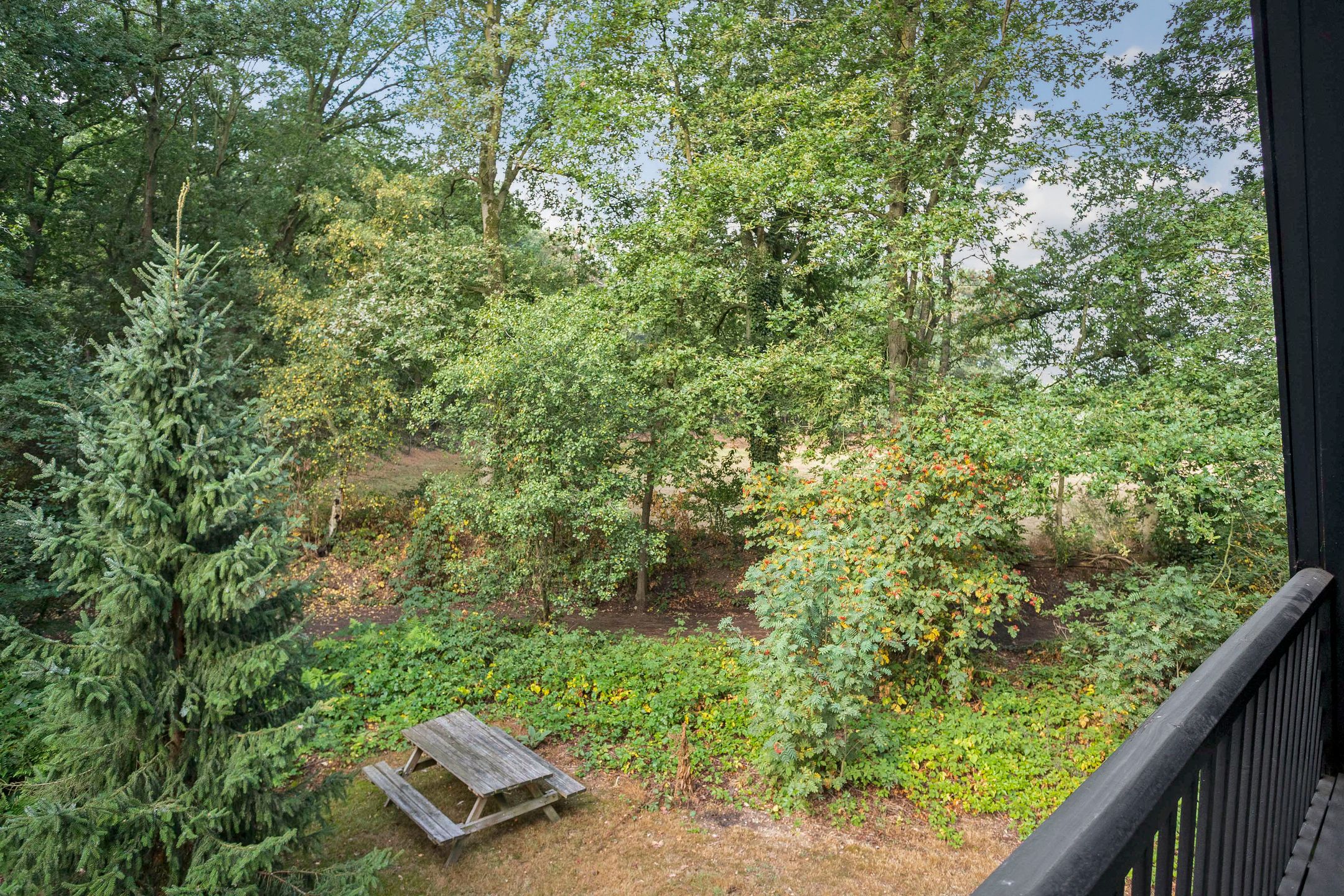 Foto 21 van Bosrand l 25