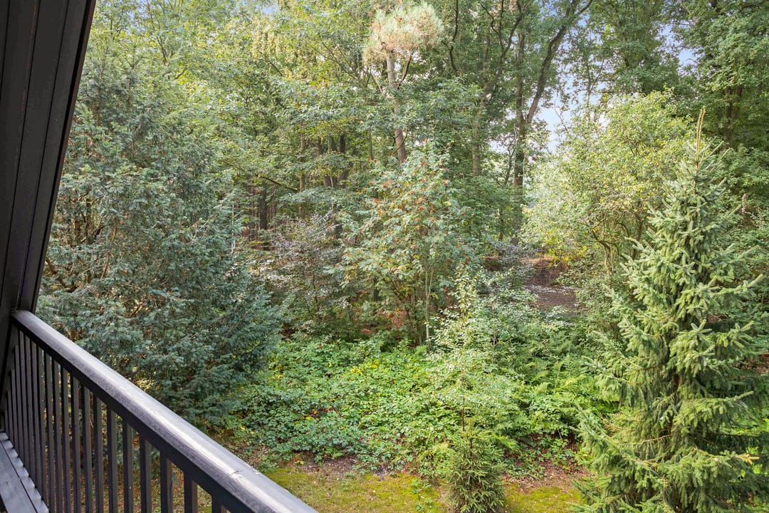 Foto 22 van Bosrand l 25