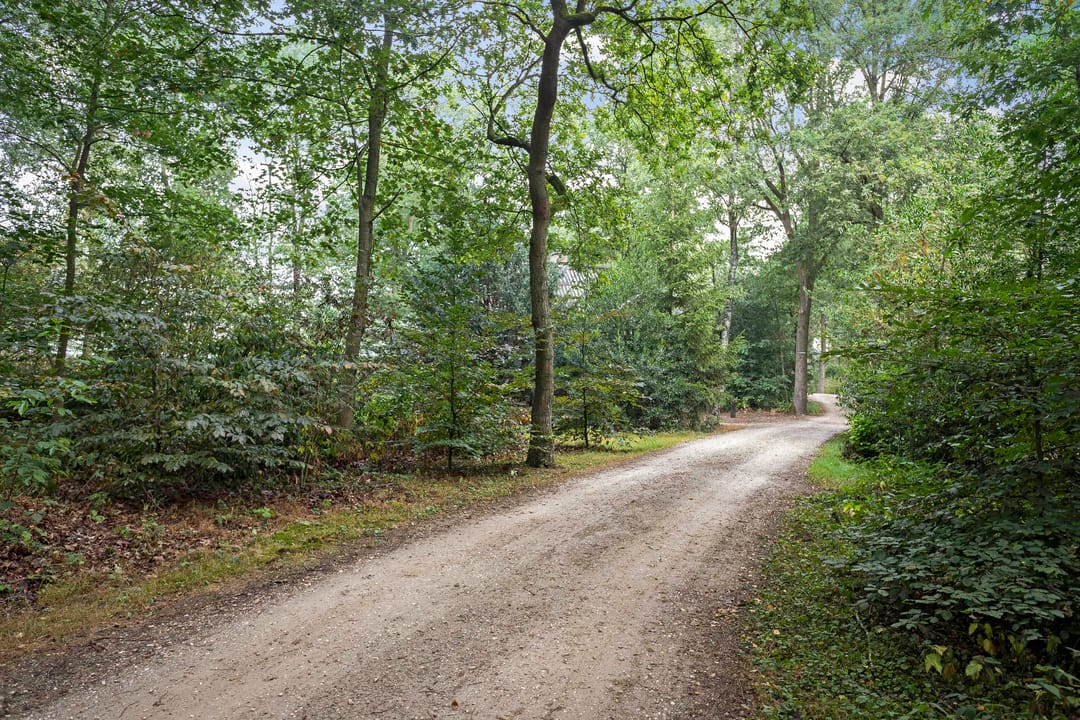 Foto 31 van Bosrand l 25