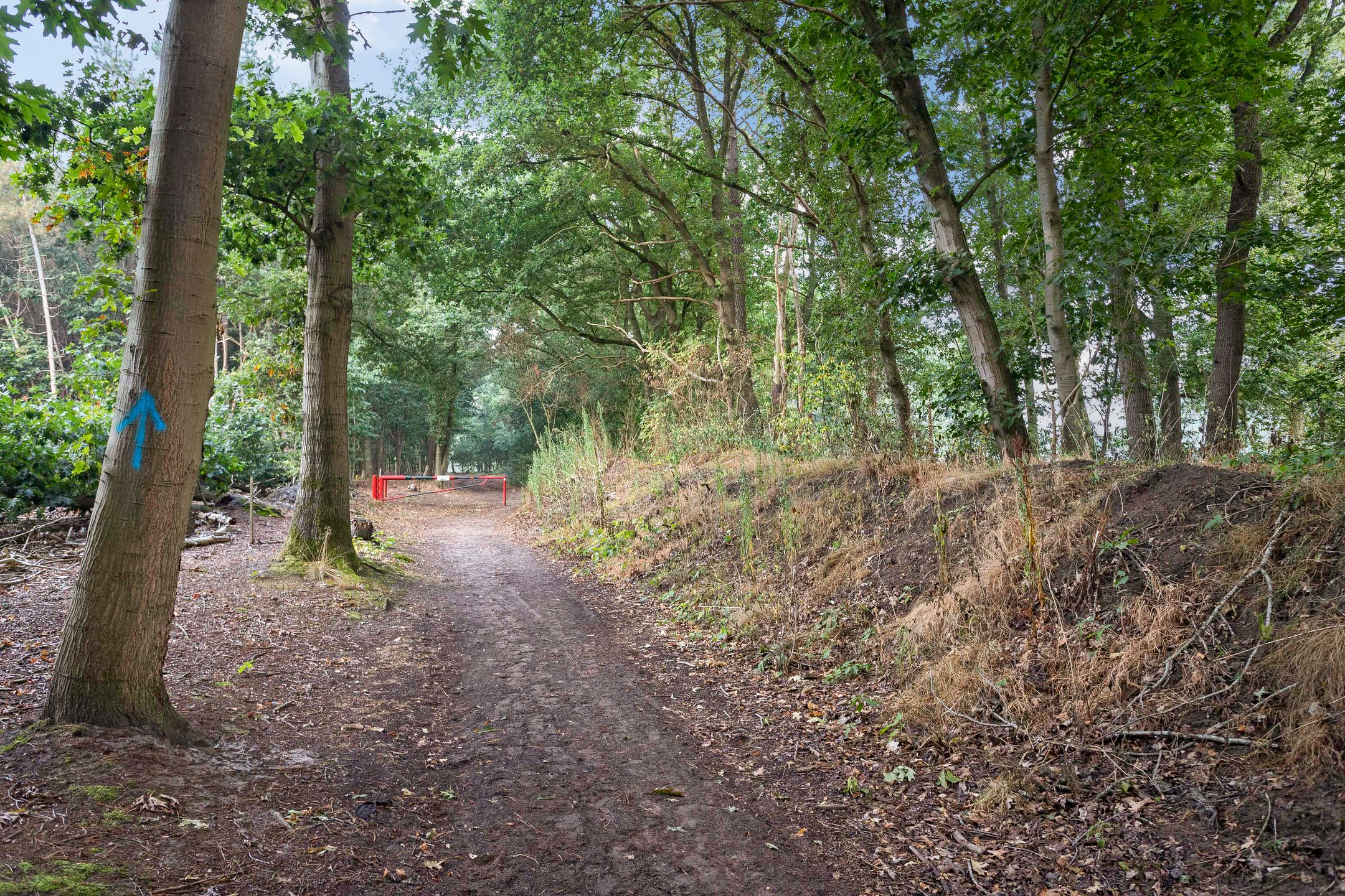 Foto 33 van Bosrand l 25