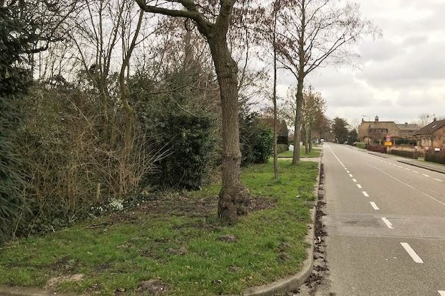 Bekijk foto 4 van Herenweg 11