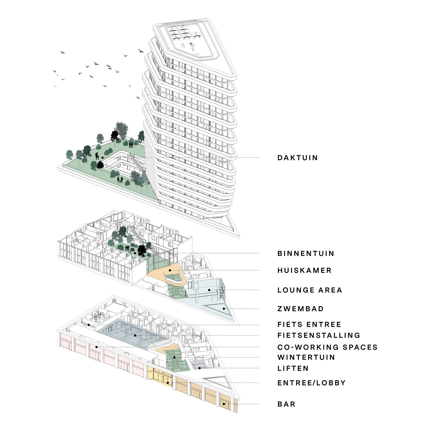 Photo 14 of Zinranapad 237