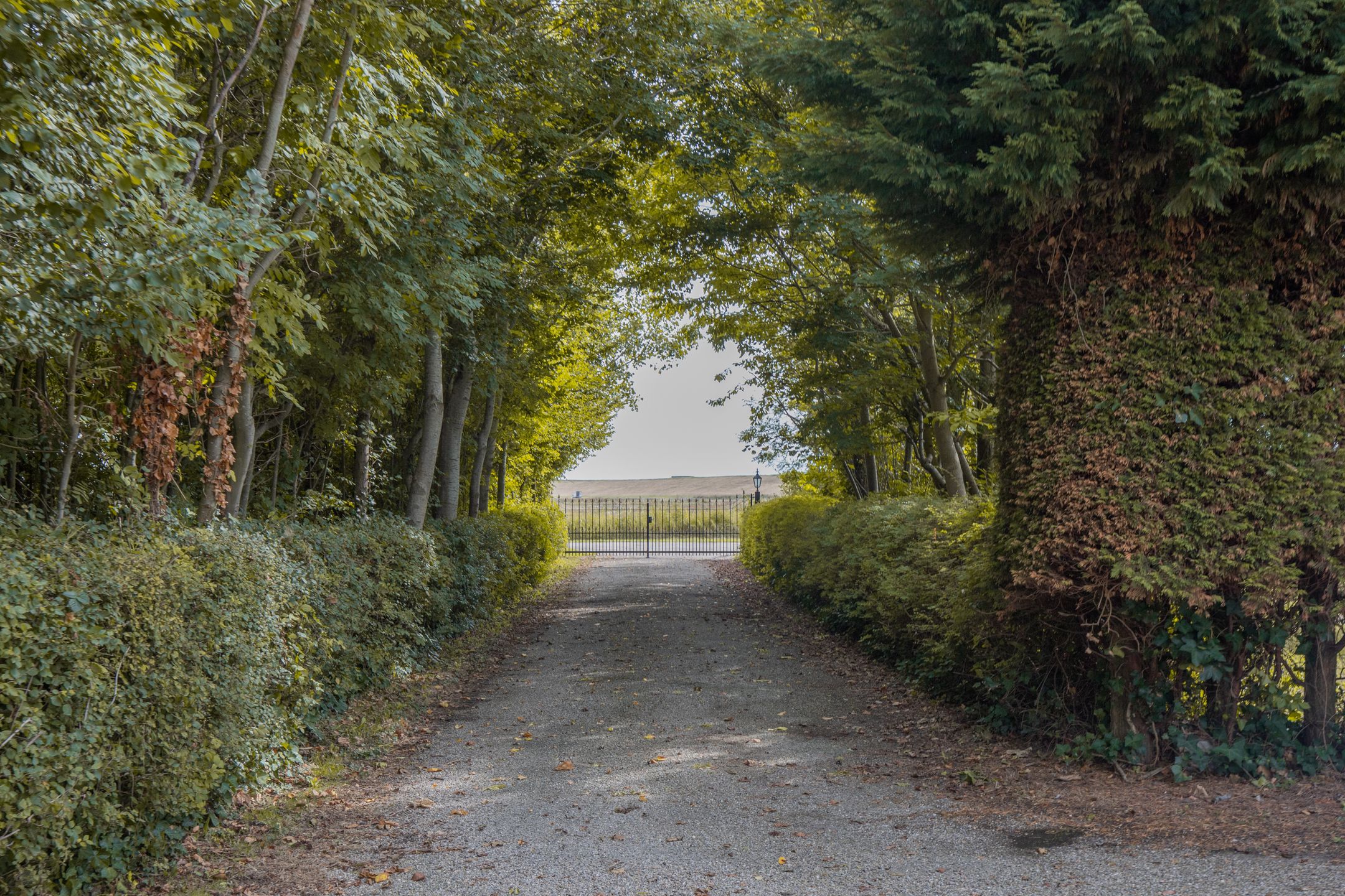 Foto 12 van Prunjeweg 17