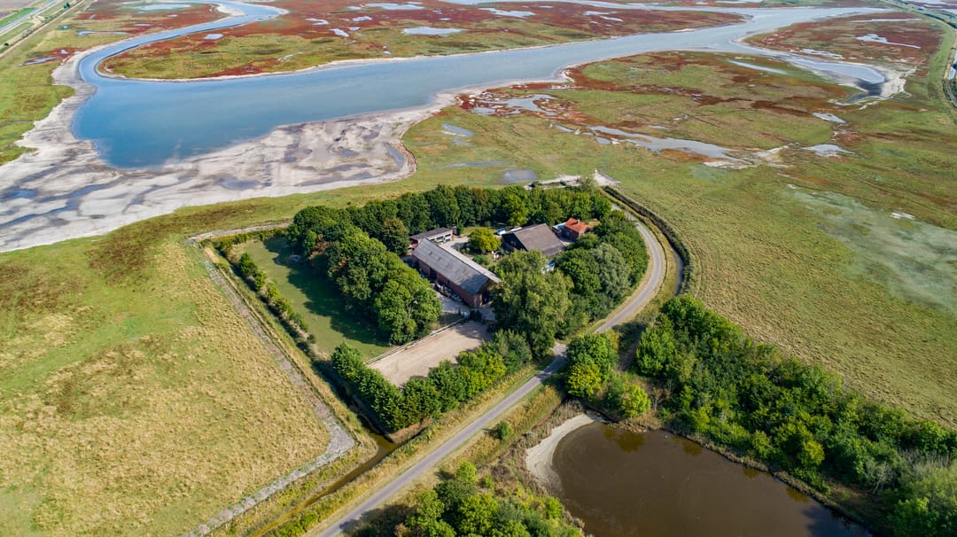 Foto 8 van Prunjeweg 17