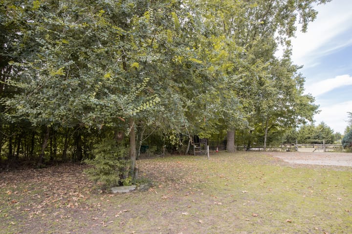 Foto 54 van Prunjeweg 17