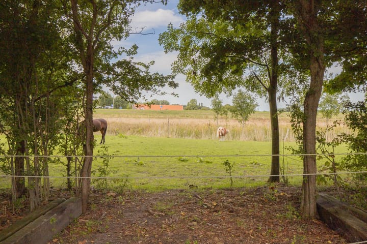 Foto 59 van Prunjeweg 17