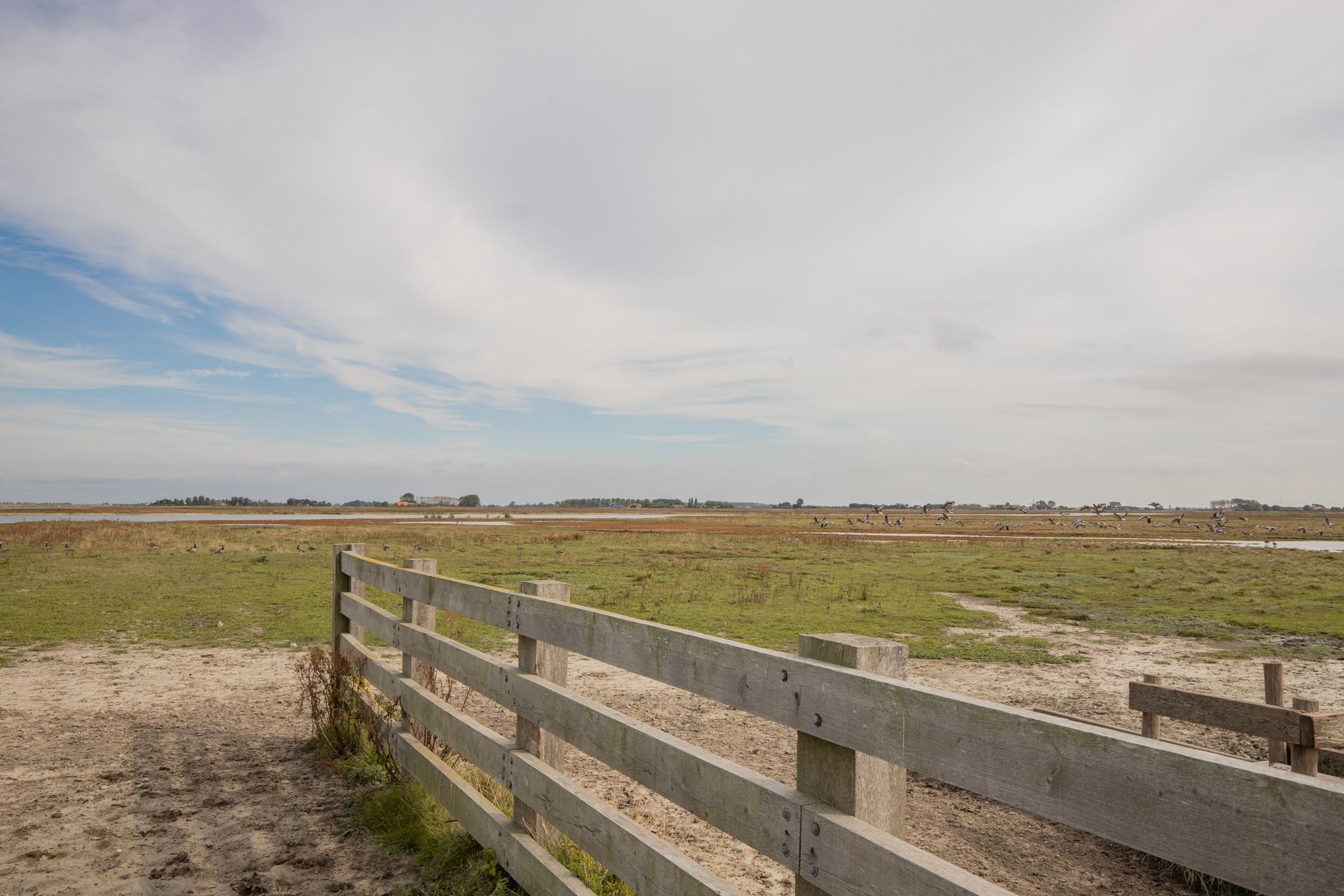 Foto 60 van Prunjeweg 17