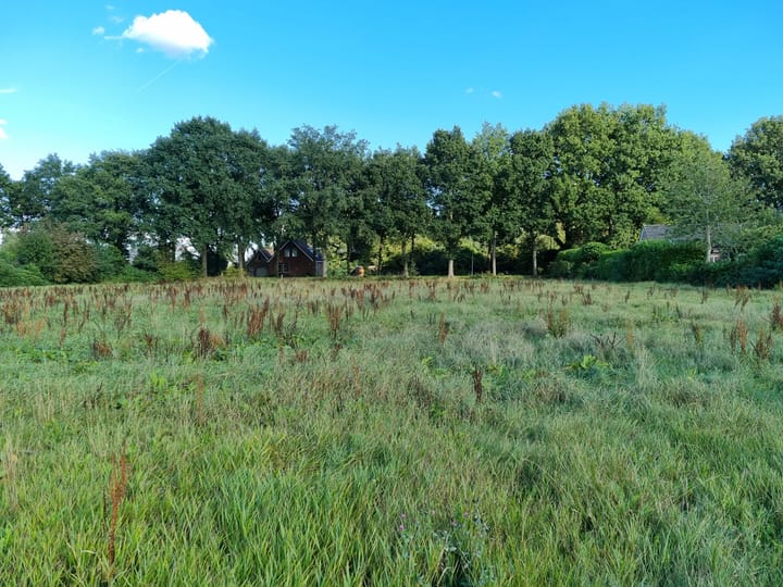 Photo 3 of Zuideropgaande