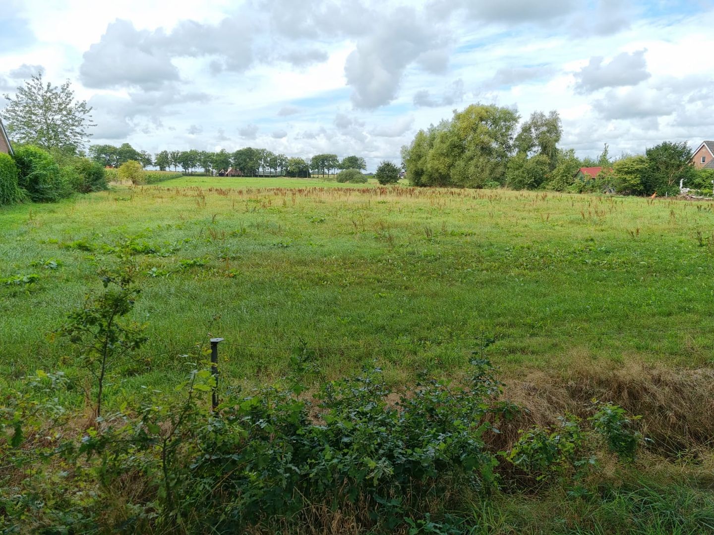 Foto 5 van Zuideropgaande