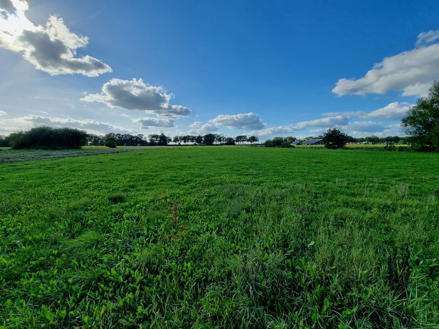 Photo 1 of Zuideropgaande