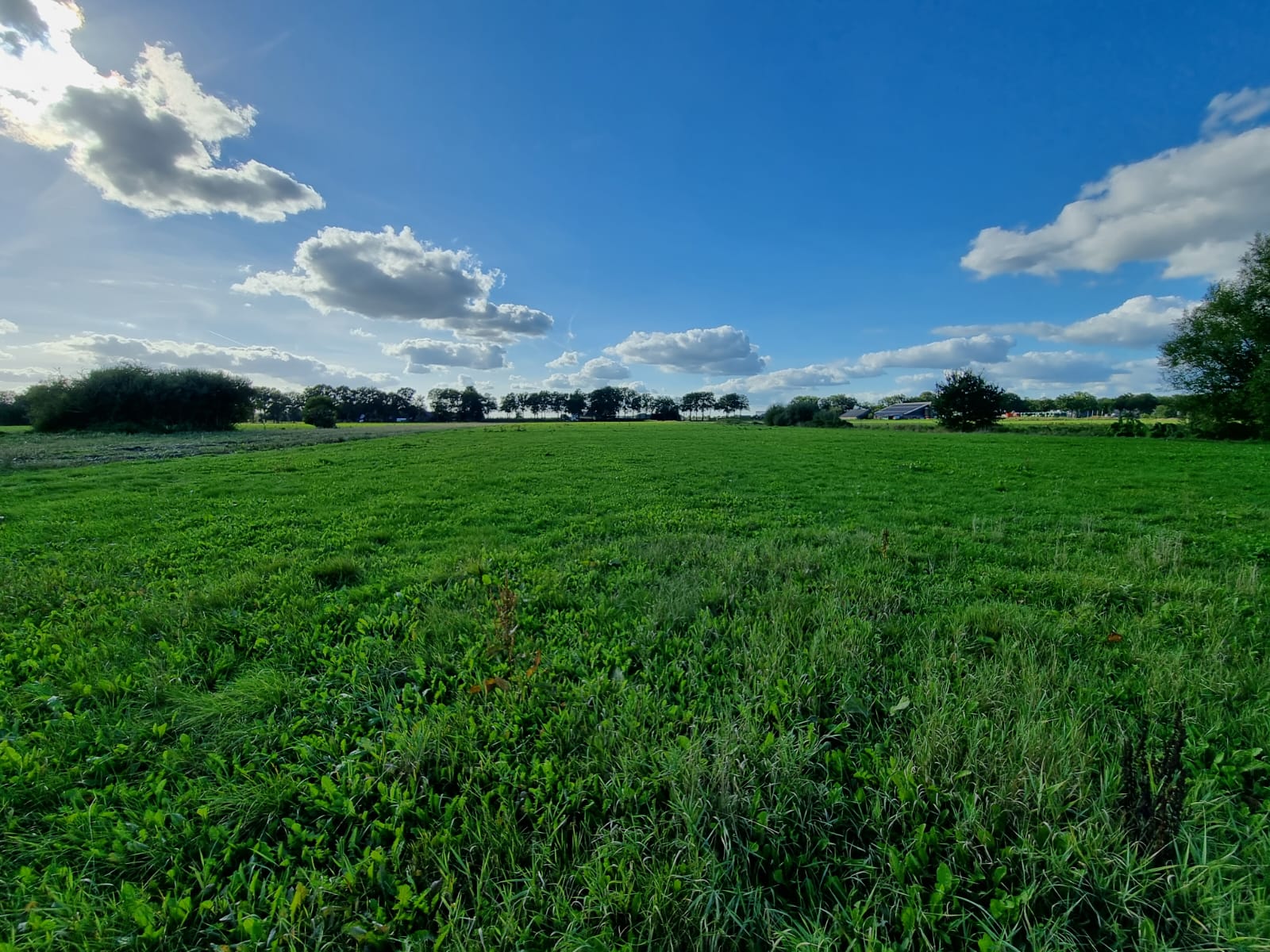 Zuideropgaande  false