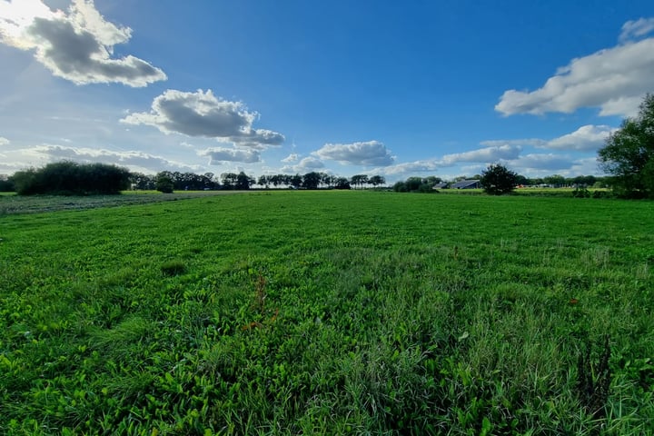 Bekijk foto 1 van Zuideropgaande