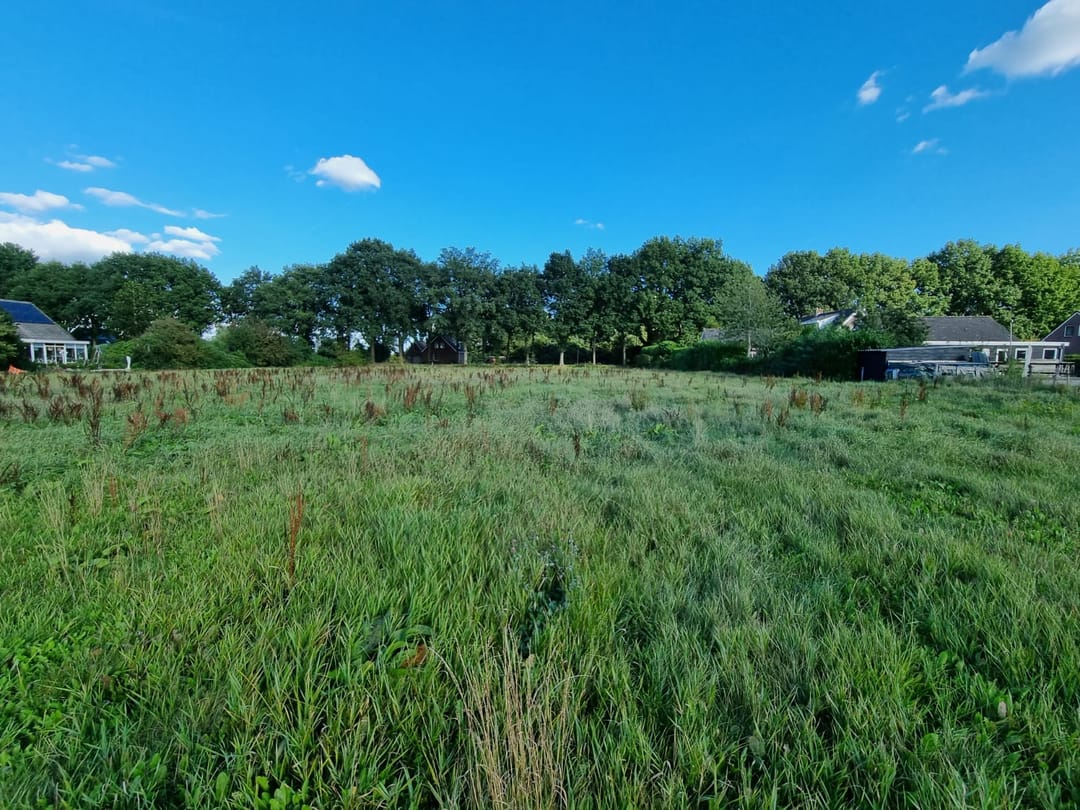 Foto 2 van Zuideropgaande