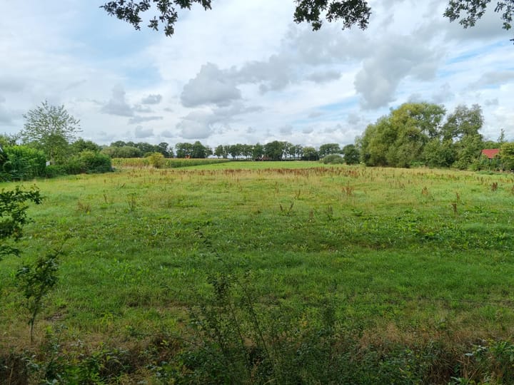 Photo 4 of Zuideropgaande