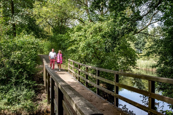 Foto 9 van Elantra: Penthouse K (Bouwnr. 32)