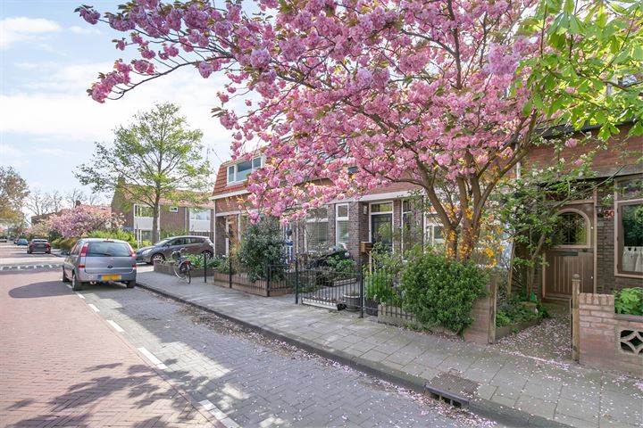 View photo 40 of Duiventorenstraat 62