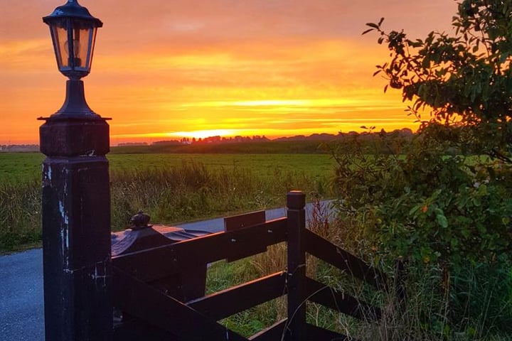 Bekijk foto 97 van Trapweg 1