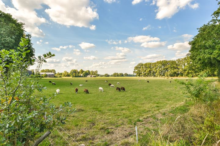 Bekijk foto 44 van Klarenbeekseweg 130