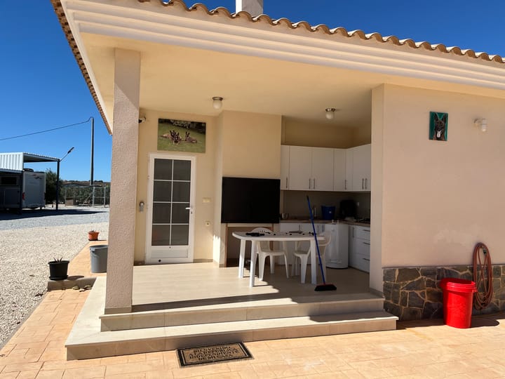 Foto 8 van Pinoso 702