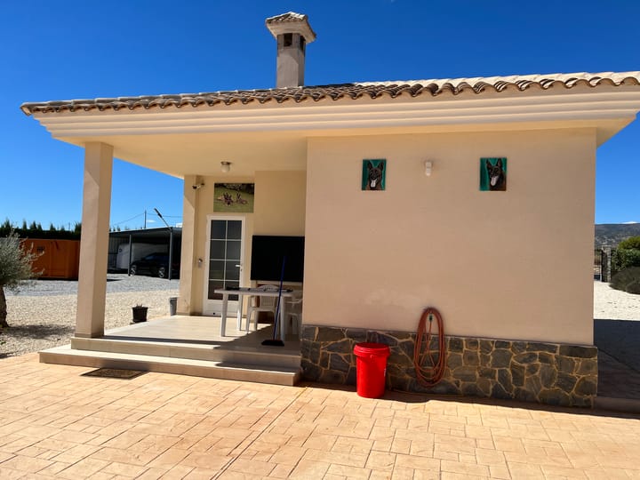 Foto 4 van Pinoso 702