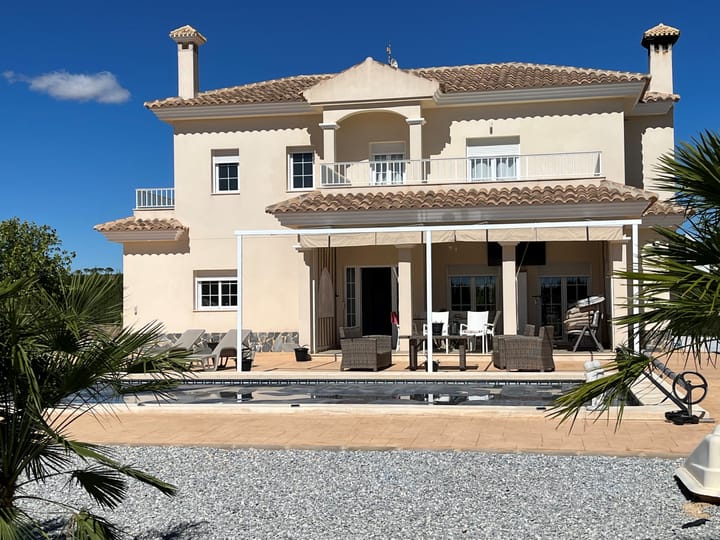 Foto 6 van Pinoso 702