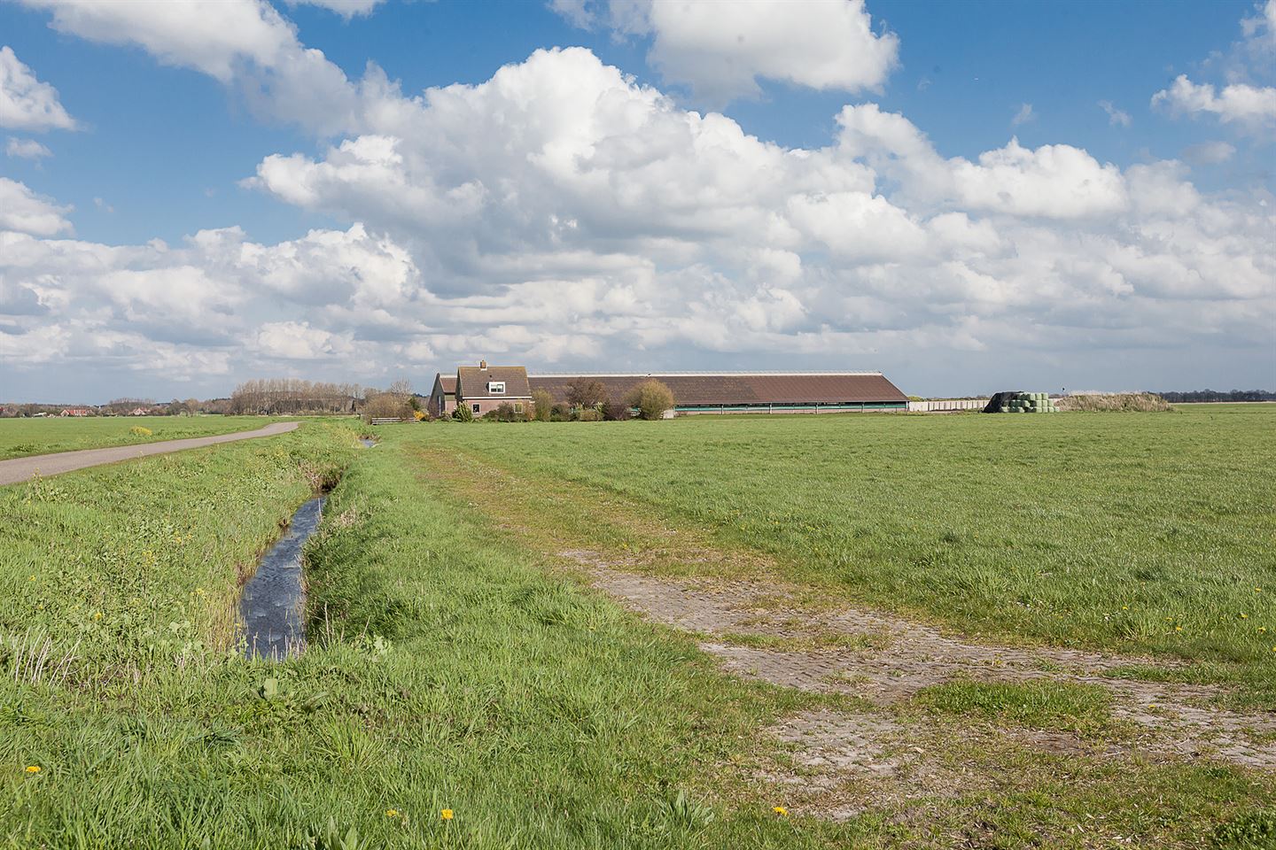 Bekijk foto 4 van Dwarssloot-Oost 8