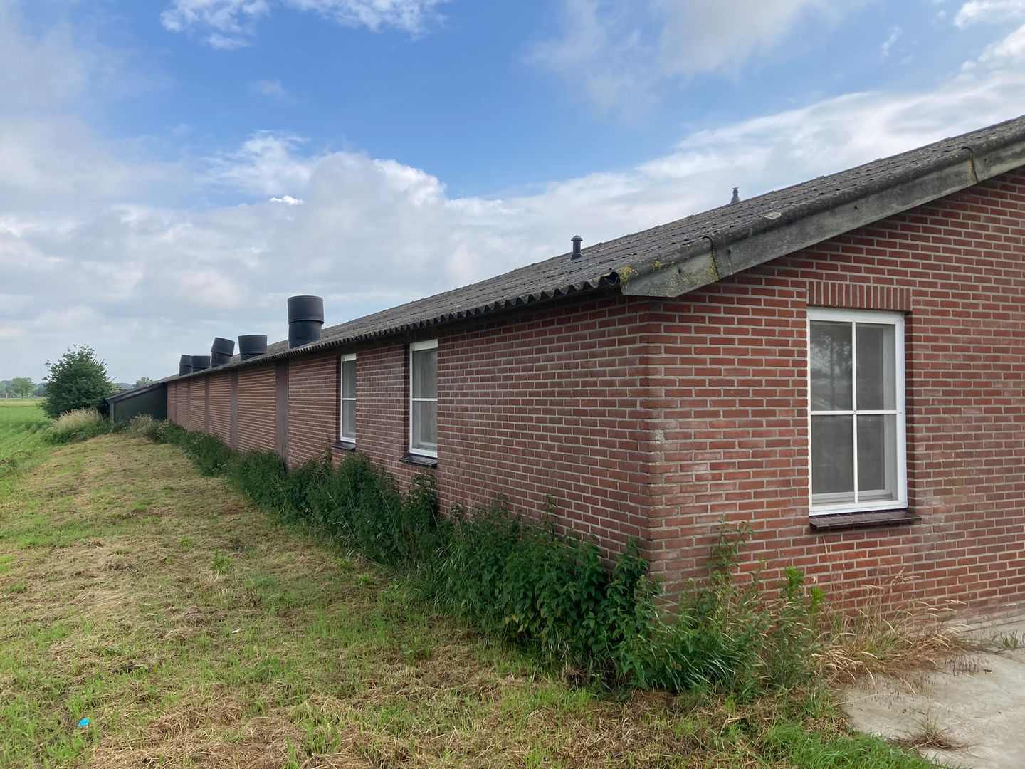 Bekijk foto 3 van Hofweg 51