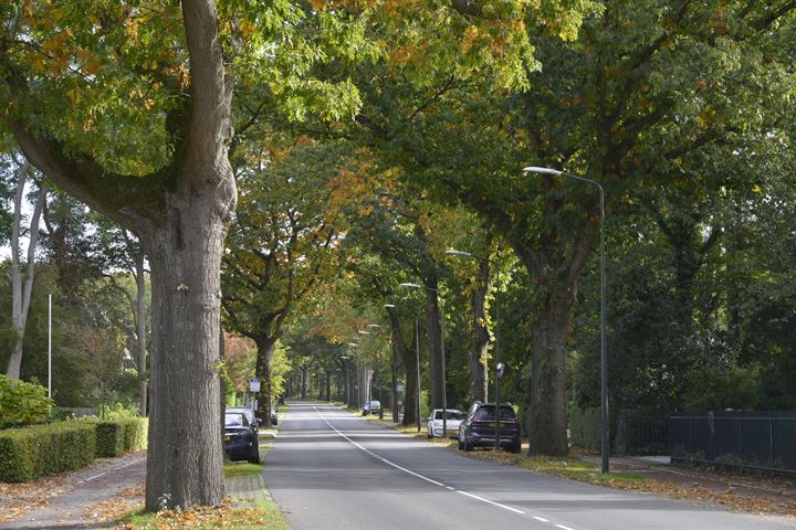 Bekijk foto 29 van Nieuwe Bussummerweg 169