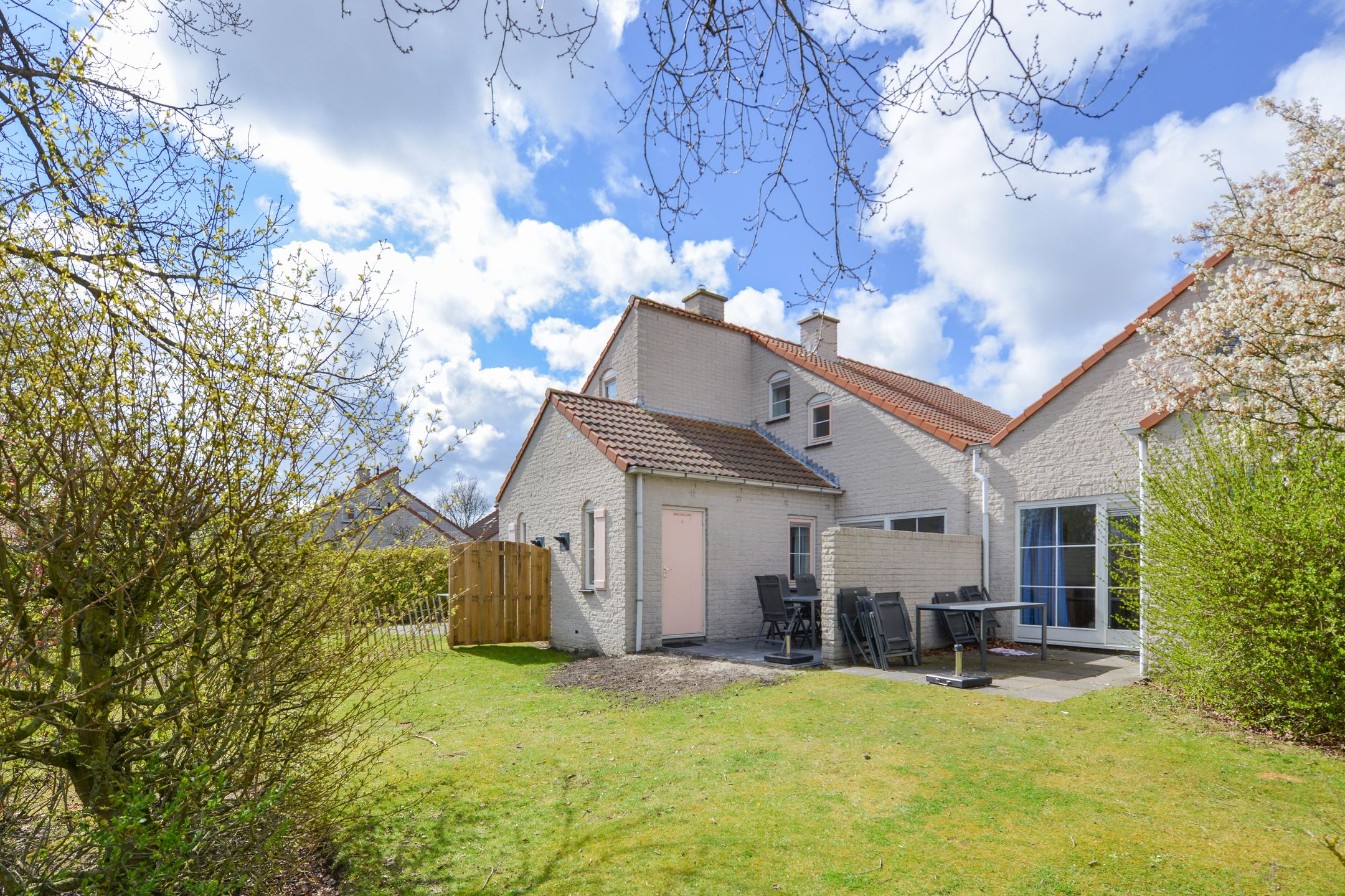 Foto 3 van Cardium 36