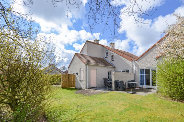 Photo 3 of Cardium 36