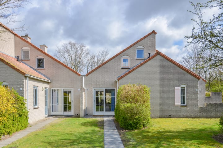 Photo 6 of Cardium 36