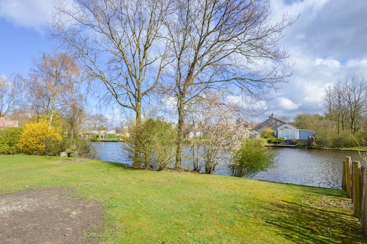 Photo 27 of Cardium 36