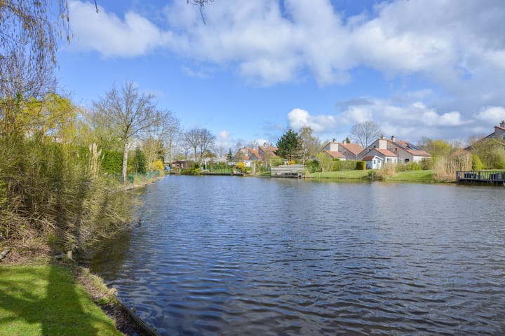 Photo 32 of Cardium 36