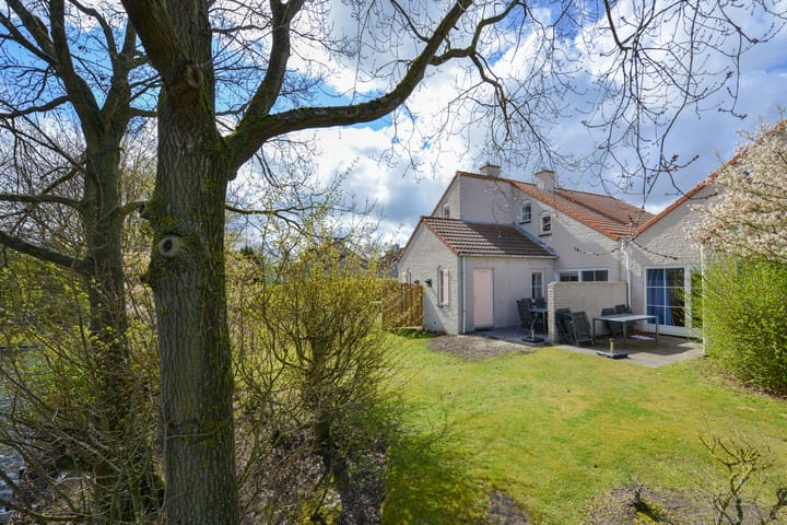 Photo 31 of Cardium 36