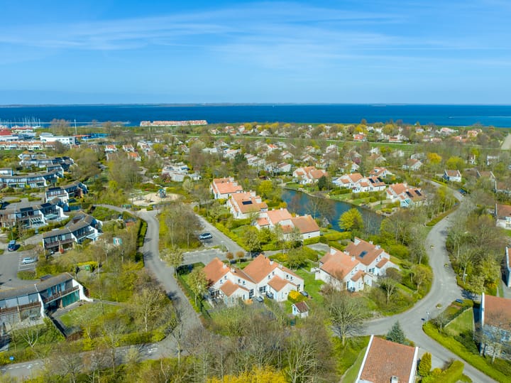 Photo 40 of Cardium 36