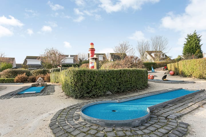 Photo 38 of Cardium 36