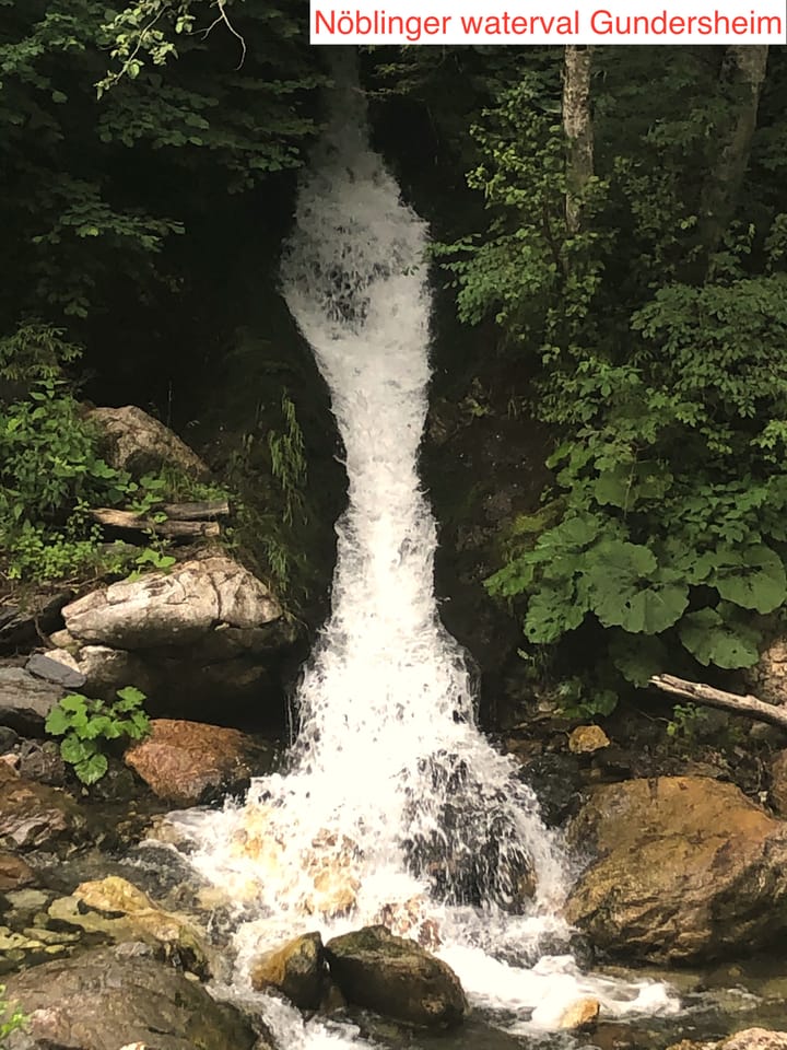 Foto 12 van Naturpanorama Gundersheim