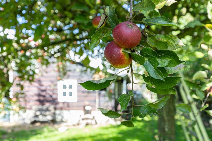 Bekijk foto 46 van Beneden Tiendweg 6