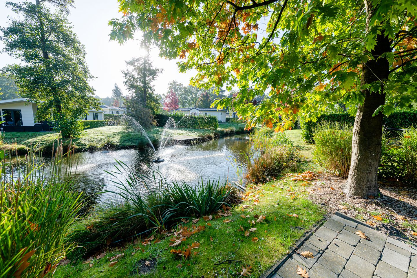 Photo 5 of Akerstraat 153-125