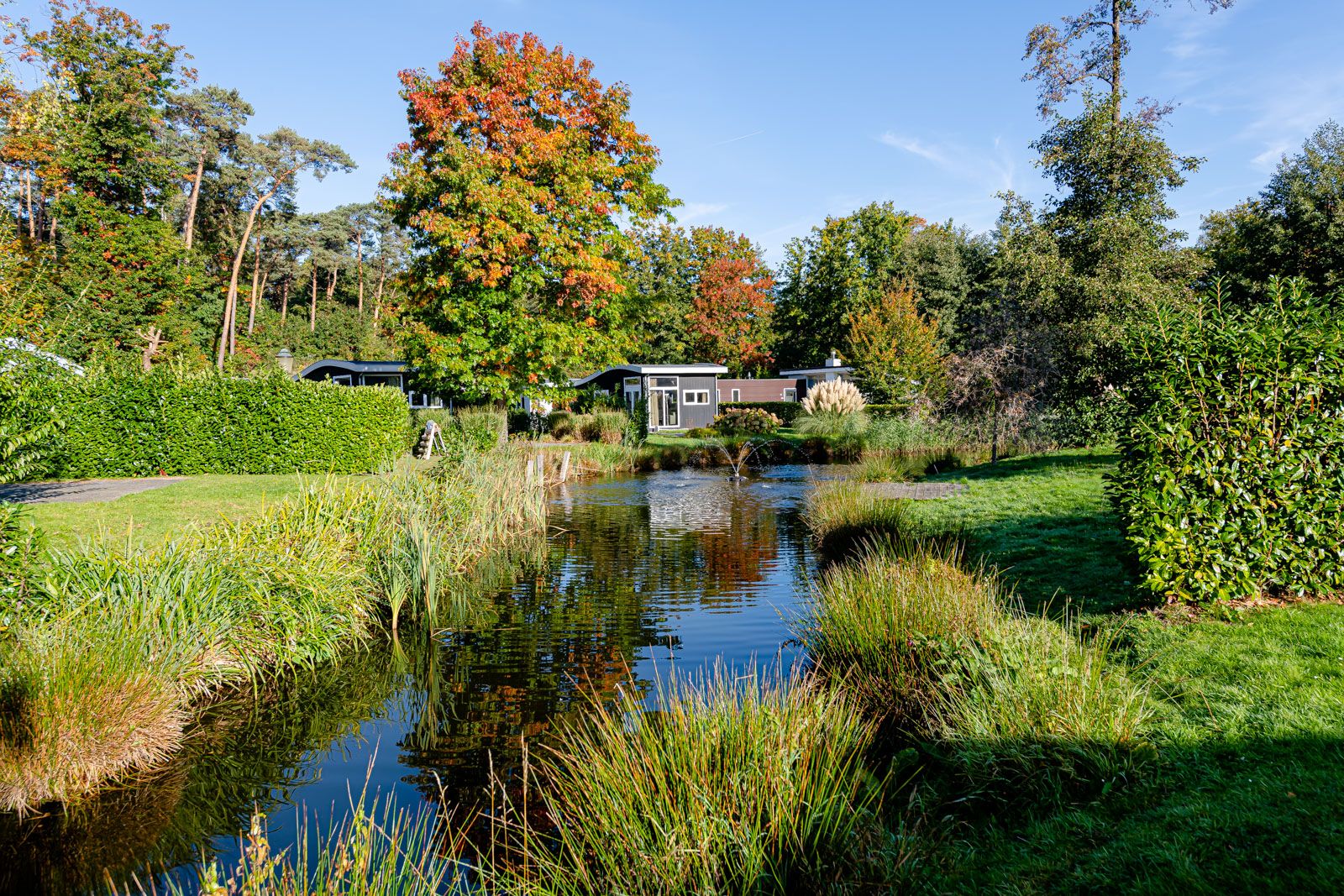 Photo 36 of Akerstraat 153-125