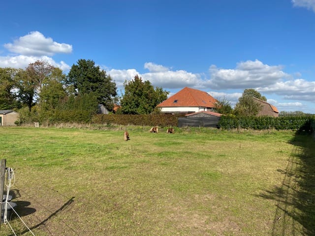 Photo 1 of Provincialeweg