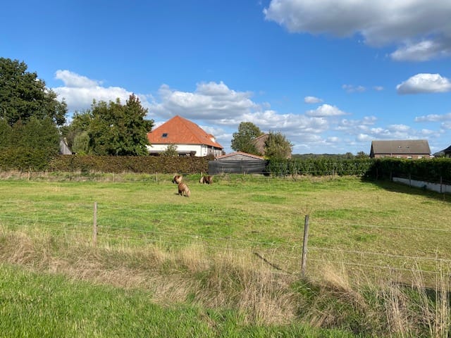 Photo 3 of Provincialeweg