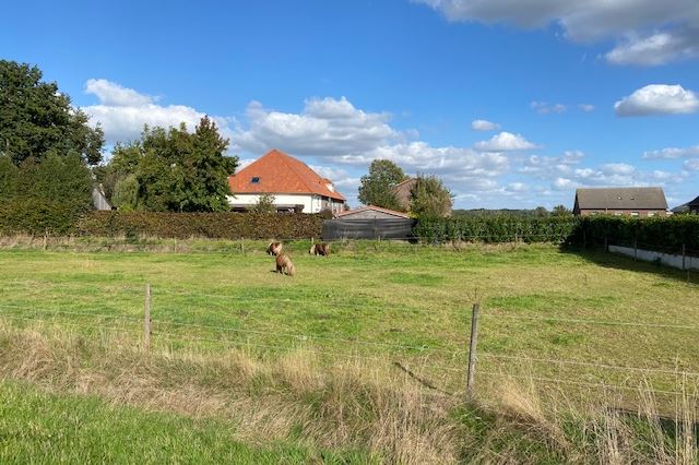 Bekijk foto 3 van Provincialeweg