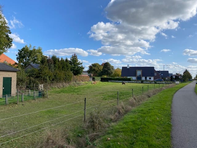 Photo 5 of Provincialeweg