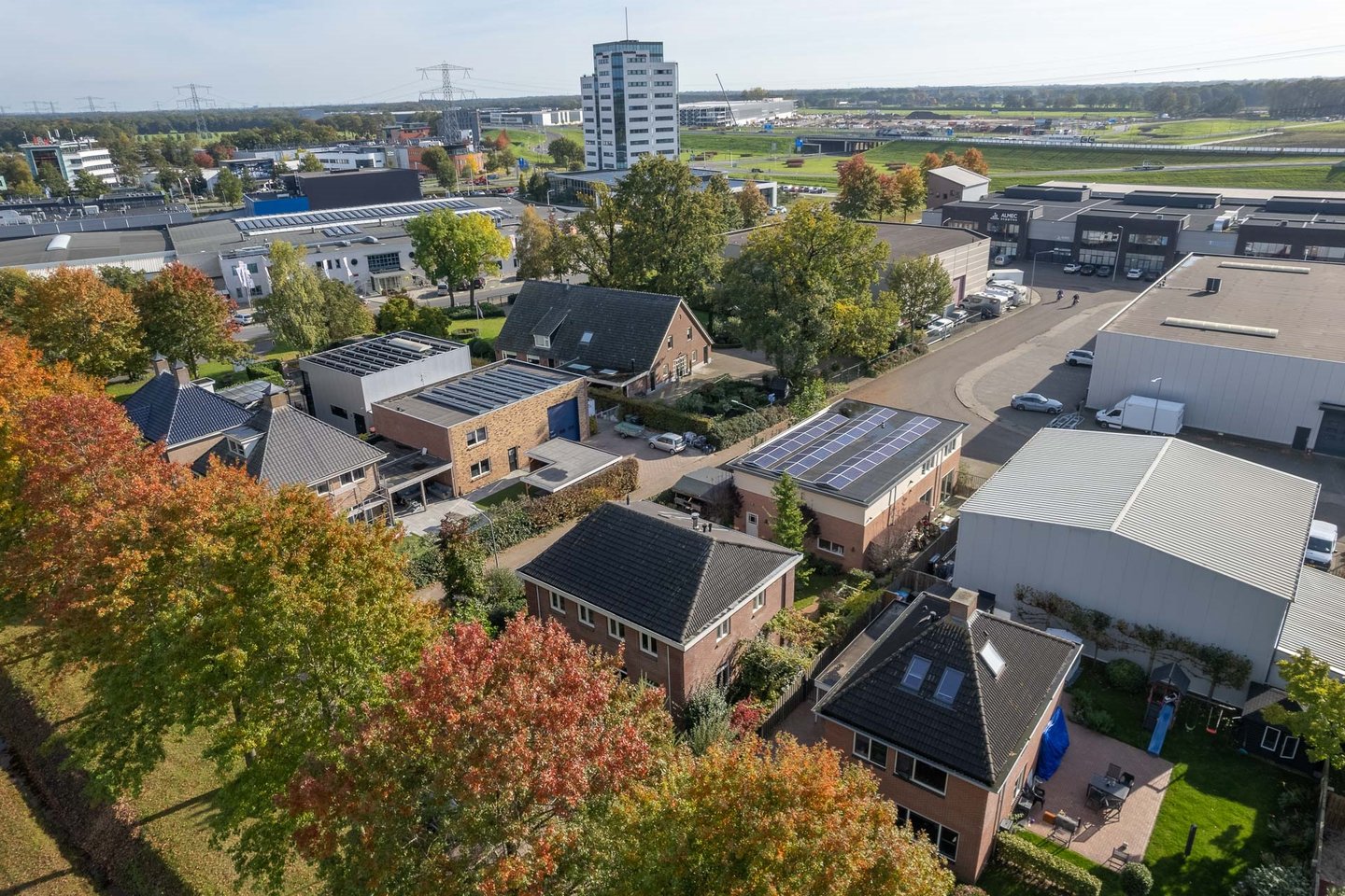 Bekijk foto 1 van De Paradijsvogel 13