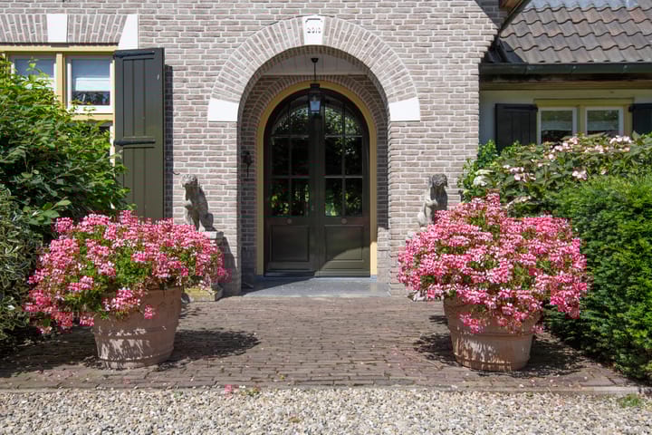 Foto 12 van Vurenboomweg 2