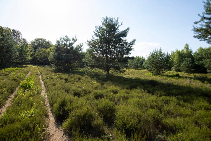 Foto 44 van Vurenboomweg 2